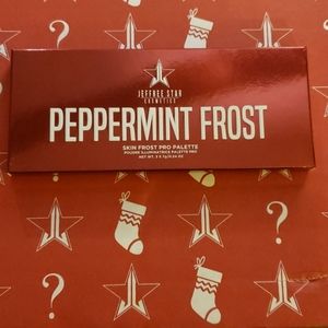PEPPERMINT FROST HIGHLIGHT PRO PALETTE JSC